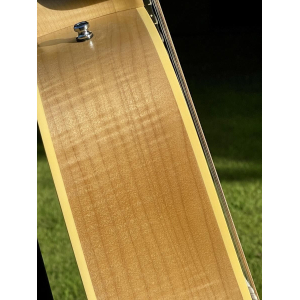 Norman B50 12 Natural SG Element