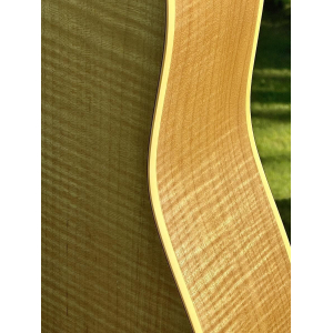 Norman B50 12 Natural SG Element