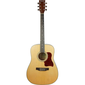 Westwood Guitare Folk F750