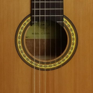 Paloma Guitare Classique 44 Naturel Dos Ecl Acajou