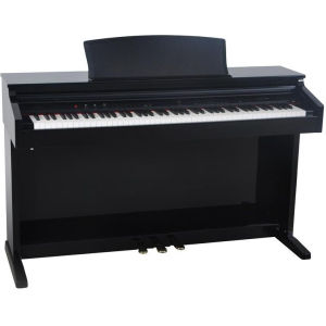 Delson 8876 Piano Concerto RW