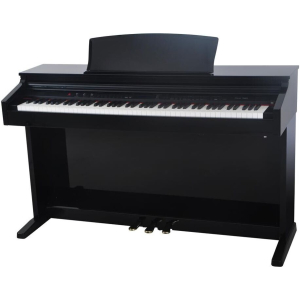 Delson 8876 Piano Concerto RW