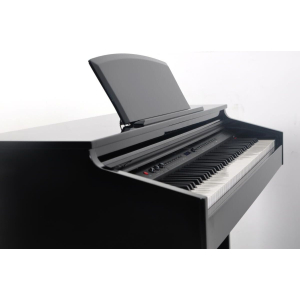 Delson 8876 Piano Concerto RW