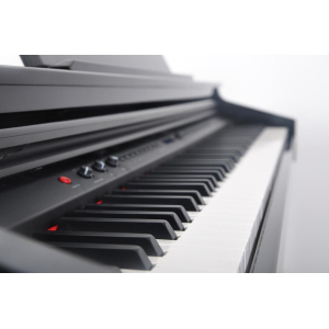 Delson 8876 Piano Concerto RW