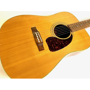 Gibson Gospel AN 1993 Naturel