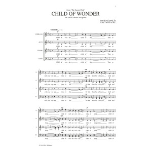 Child Of Wonder (from The Sacred Veil)