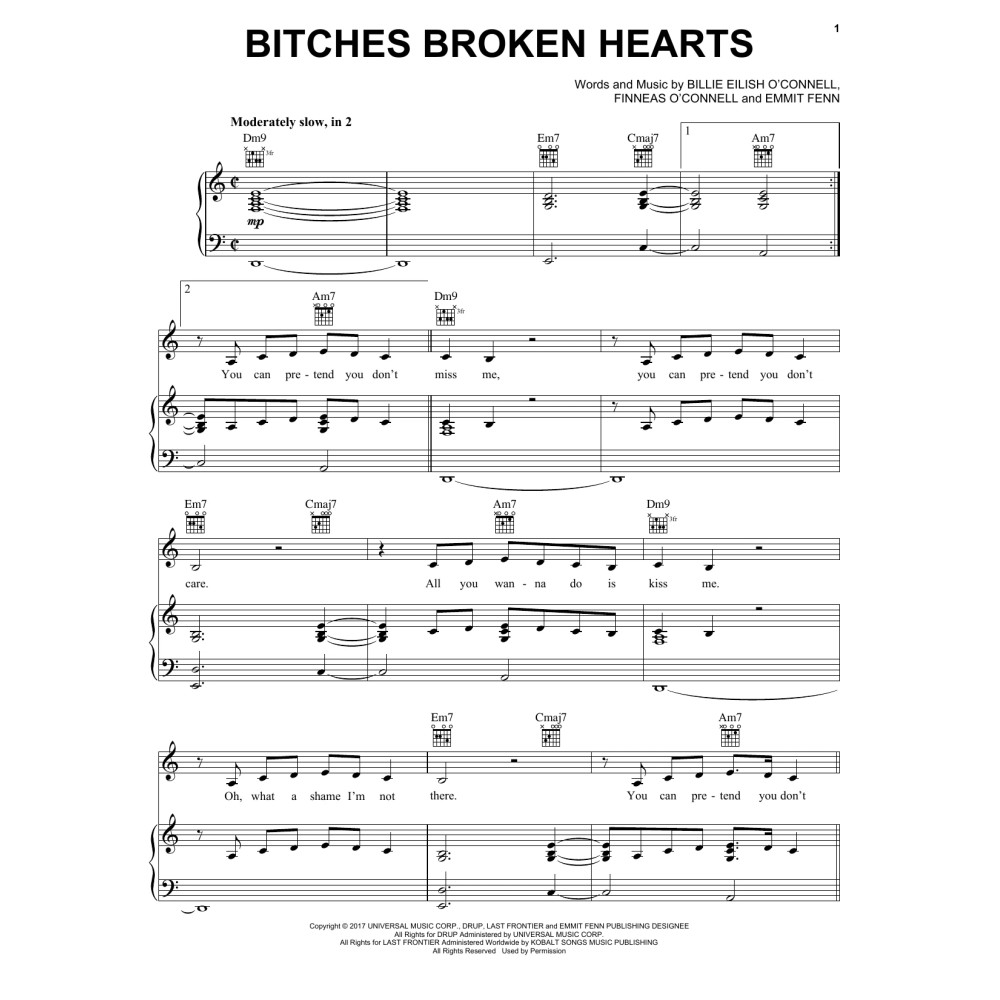 Bitches Broken Hearts