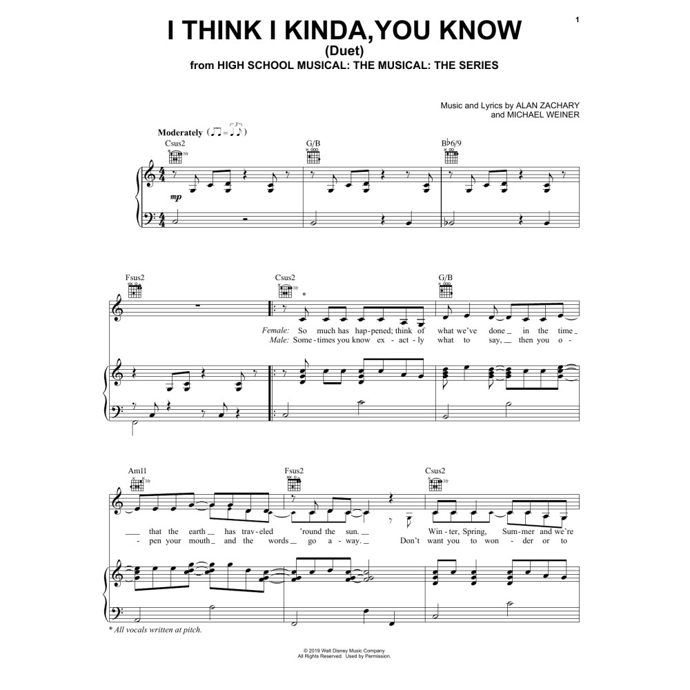 I Think I Kinda, You Know (Duet) (from High School Musical: The Musical: The Series)