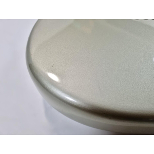 Fender Stratocaster Robert Cray Signature Custom Shop 1999 Inca Silver