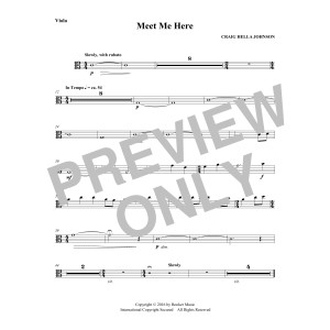 Meet Me Here (from Considering Matthew Shepard) - Viola