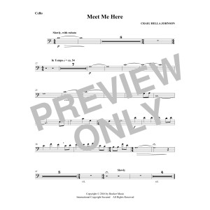 Meet Me Here (from Considering Matthew Shepard) - Cello