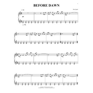 Before Dawn