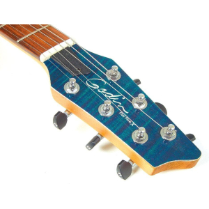 Godin Flat Five X Serie Signature Hollow Body