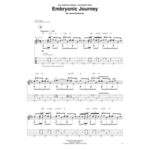 Embryonic Journey