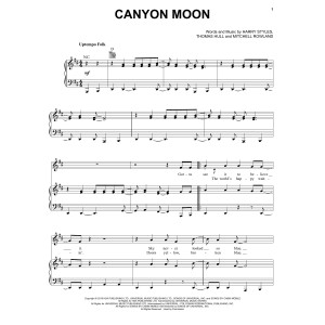 Canyon Moon
