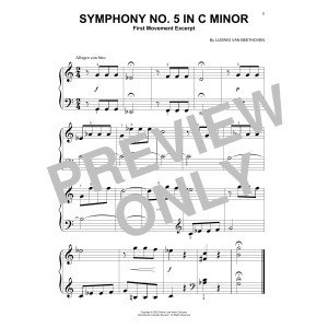 Symphony No. 5 In C Minor, First Movement Excerpt