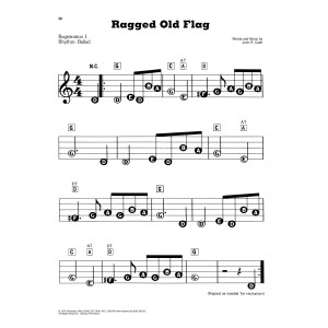 Ragged Old Flag
