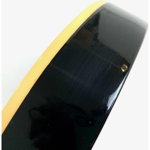 Gibson Les Paul Chad Kroeger Signature Blackwater 2010 Trans Black