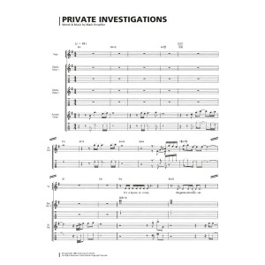 Private Investigations
