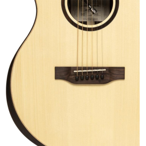 Crafter Big Mino Rose