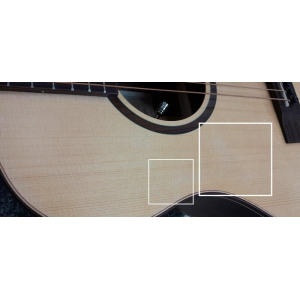 Crafter Big Mino Rose