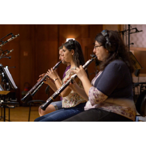 Big Bang Orchestra Woodwinds