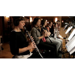 Vienna Symphonic Library Big Bang Orchestra Tutti