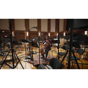 Synchron Solo Cello (Standard Library)