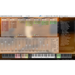 Synchron Solo Violin 2 (Standard Library)