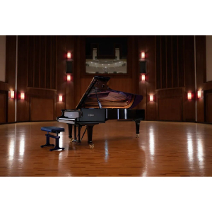 Fazioli F308 Essentials