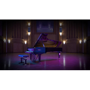 Synchron Fazioli F308 (Standard Library)