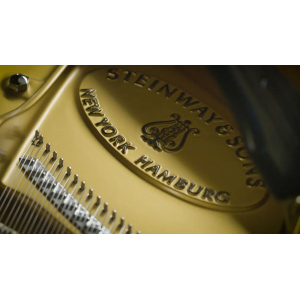 Synchron Concert D-274 (Standard Library)