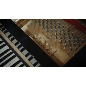 Studio Fazioli F212 (Standard Library)