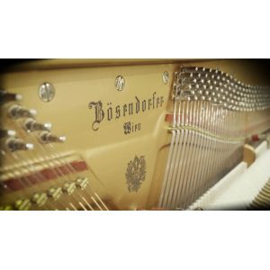 Studio Bösendorfer Upright (Standard Library)