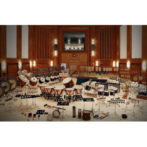 Synchron Percussion I (Standard Library)