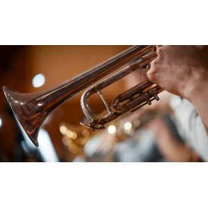 Synchron Brass (Standard Library)