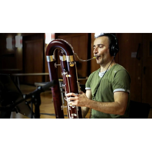 Synchron Woodwinds (Standard Library)