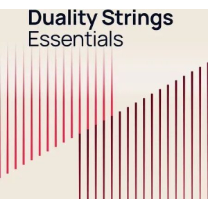 Duality Strings Essentials