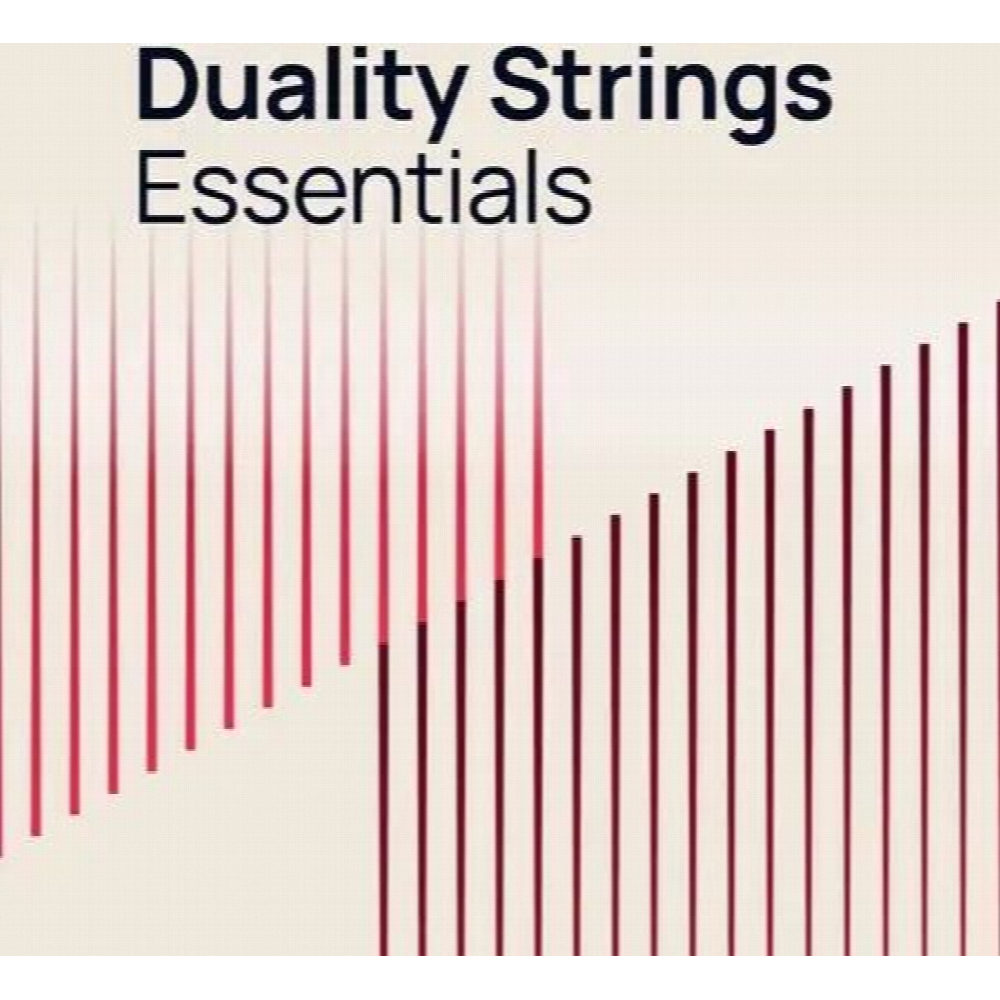 Duality Strings Essentials