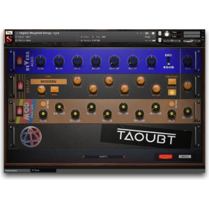 Hopkin Instrumentarium: Chordophones