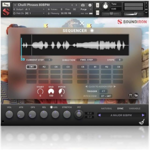 Soundiron Los Andes Pan Flutes