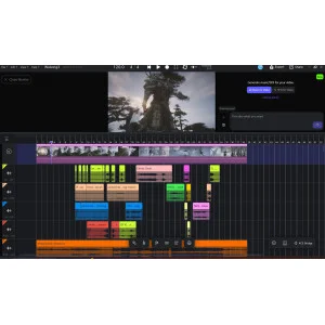 Ace Studio ACE Studio Artist Pro 2 Lifetime