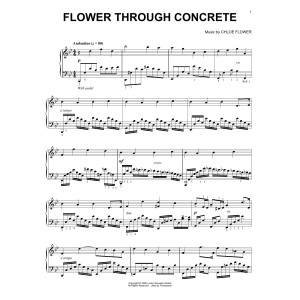 Flower Through Concrete