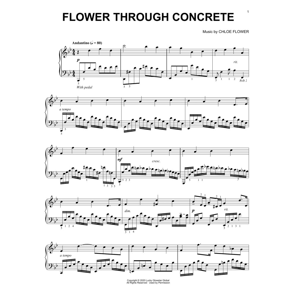 Flower Through Concrete