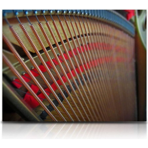 Soundiron Tone Morsels