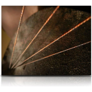 Soundiron Twine Bass