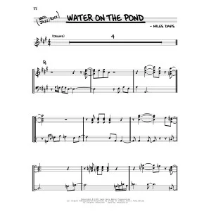 Water On The Pond