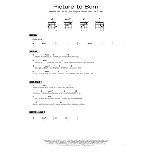 Picture To Burn