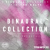 Tom Wolfe Binaural Collection for Pigments