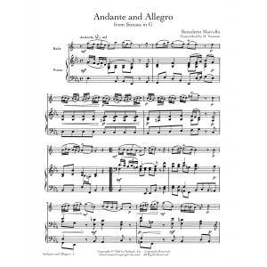 Andante And Allegro
